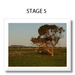 stage7